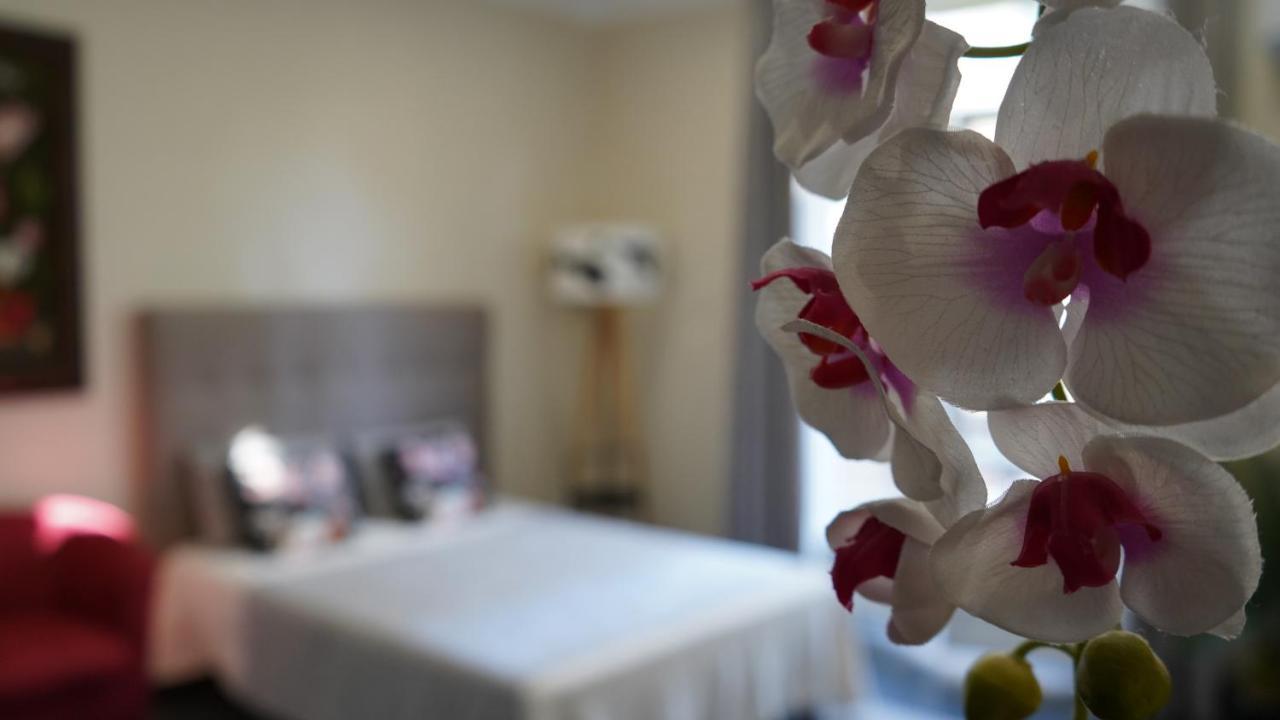Apartamento Cozy With A Sea View *
